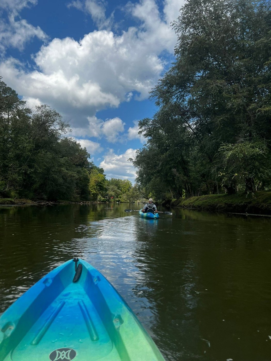 Toccoa River Kayak Rentals in GA | Blue Ridge Mountain Kayaking
