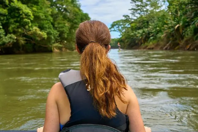 Rear view of person kayaking down a river surrounded by lush green trees.